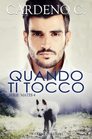 Cover of the book Quando ti tocco by Sarah Bernardinello