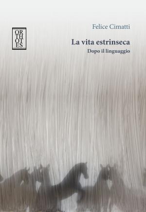 Cover of La vita estrinseca. Dopo il linguaggio