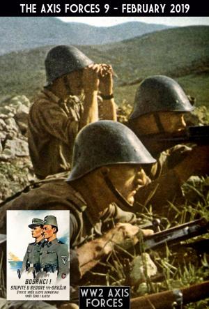 Cover of The Axis Forces 9