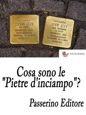 Cover of the book Cosa sono le "Pietre d'inciampo"? by Silvio Pellico