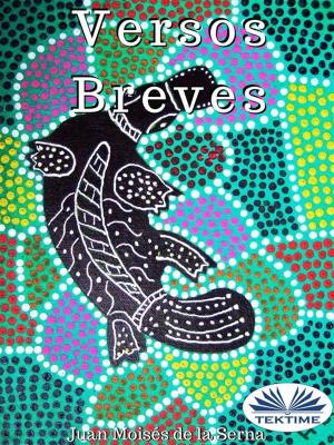 Cover of the book Versos Breves by Amy Blankenship