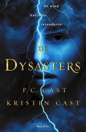 Cover of the book De dysasters by Titia Ketelaar