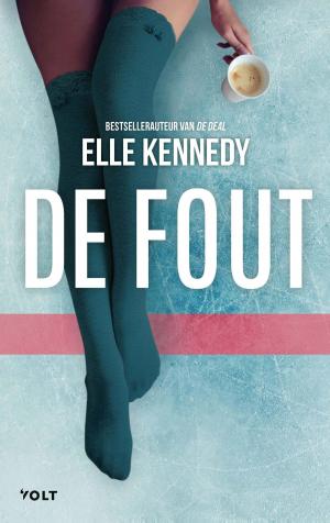 Cover of the book De fout by Patrick DeWitt