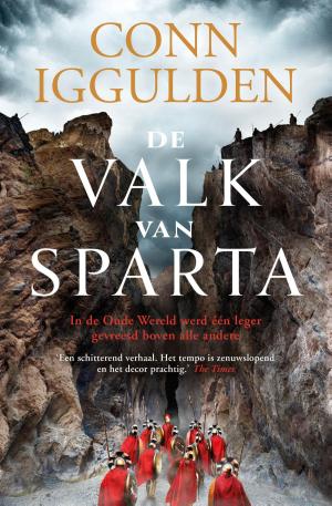 Cover of the book De valk van Sparta by Robert Louis Stevenson, Jules Verne, Mark Twain