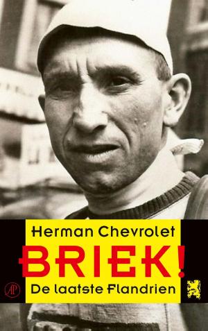 Cover of the book Briek! by Toon Tellegen