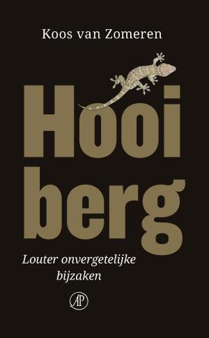 Cover of the book Hooiberg by Håkan Nesser