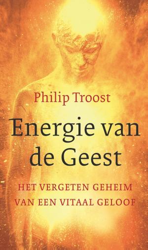 Cover of the book Energie van de Geest by Mattie Scherstra-Lindeboom
