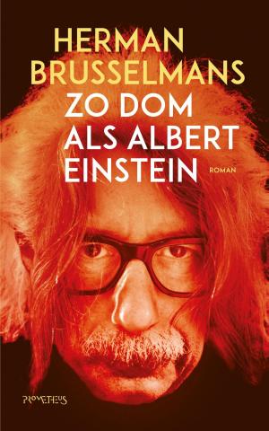 Book cover of Zo dom als Albert Einstein