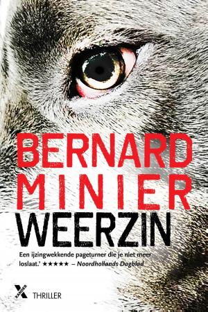 Cover of the book Weerzin by Kiki van Dijk