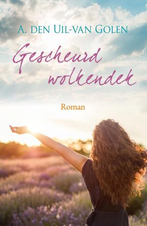 Book cover of Gescheurd wolkendek