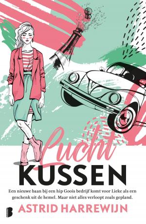 Cover of the book Luchtkussen by Jeremy Dronfield