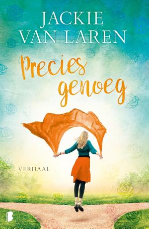 bigCover of the book Precies genoeg by 