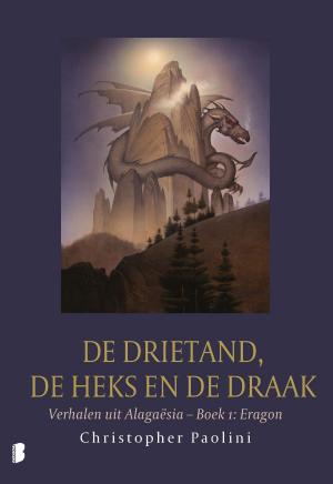 Cover of the book De drietand, de heks en de draak by Roald Dahl