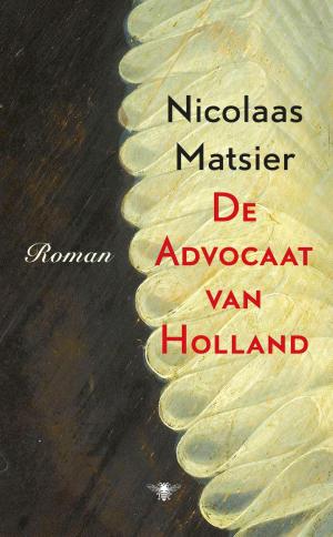 Cover of the book De advocaat van Holland by Peter Buwalda