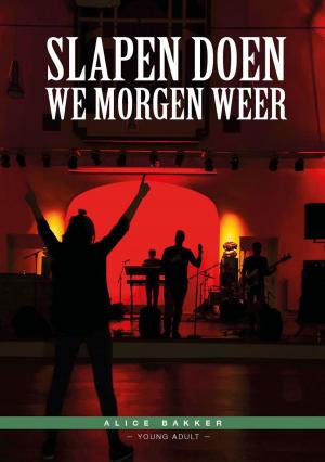 Cover of the book Slapen doen we morgen weer by Myron Shindler