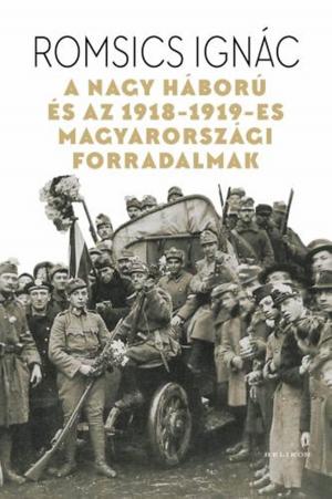Cover of the book A Nagy Háború és az 1918-1919-es magyarországi forradalmak by Márai Sándor