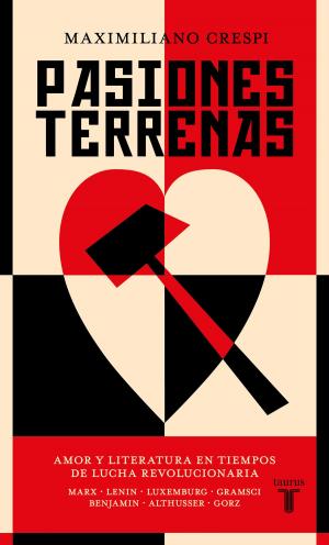 Cover of the book Pasiones terrenas by José Natanson