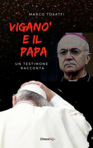 Book cover of Viganò e il Papa