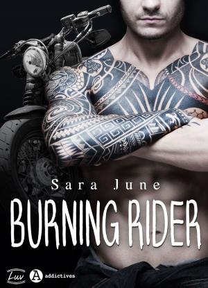 Cover of the book Burning Rider by Jennifer Estep