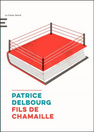 Book cover of Fils de Chamaille