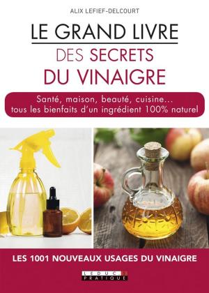 Cover of the book Le Grand livre des secrets du vinaigre by Alix Leduc