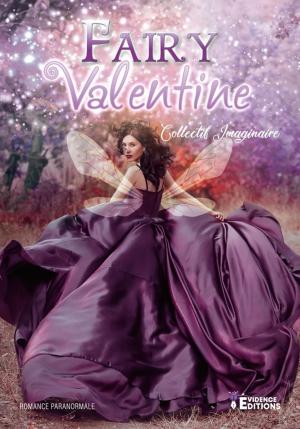 Cover of the book Fairy Valentine by Doris J. Lorenz
