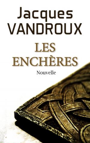 Cover of the book Les Enchères by JEAN TSHIBANGU