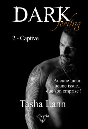 Cover of the book Dark feeling by Marine Stengel