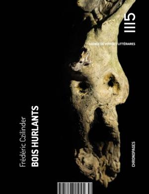 Cover of the book Bois Hurlants by Ben Kesp