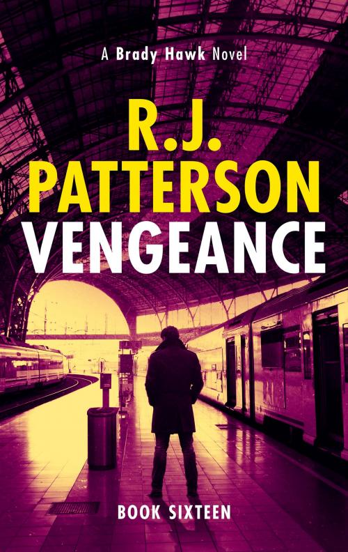 Cover of the book Vengeance by R.J. Patterson, Green E-Books