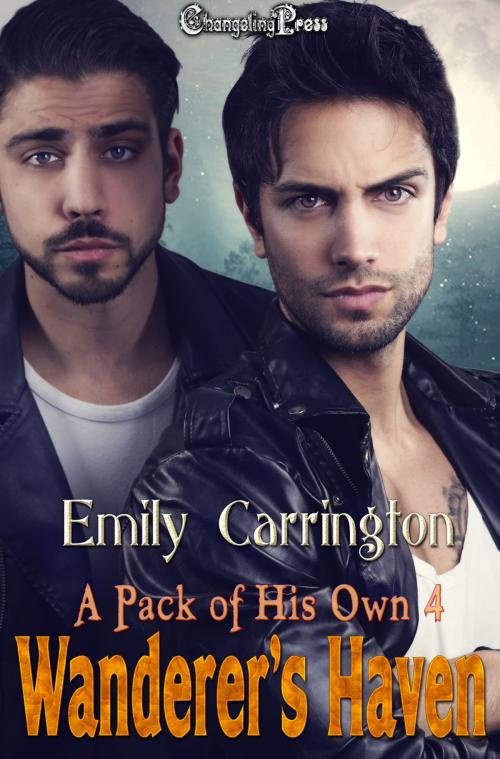 Cover of the book Wanderer's Haven by Emily Carrington, Changeling Press LLC