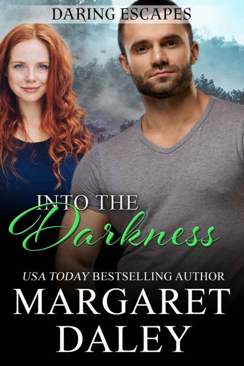 Cover of the book Into the Darkness by Margaret Daley, Margaret Daley