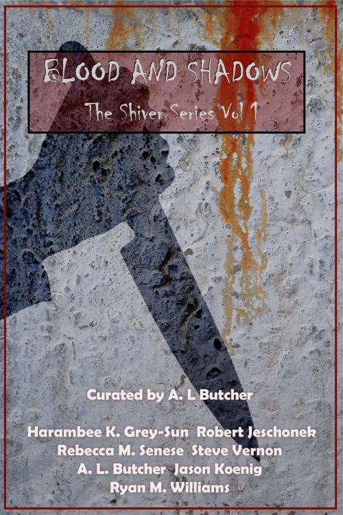 Cover of the book Blood and Shadows by A. L. Butcher, Harambee K. Grey-Sun, Robert Jeschonek, Rebecca M. Senese, Steve Vernon, Jason Koenig, Ryan M. Williams, Kydala Publishing, Inc.