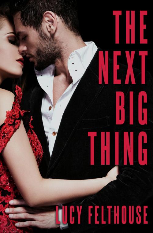Cover of the book The Next Big Thing by Lucy Felthouse, Lucy Felthouse
