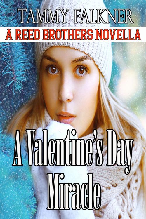 Cover of the book A Valentine's Day Miracle by Tammy Falkner, Night Shift Publishing