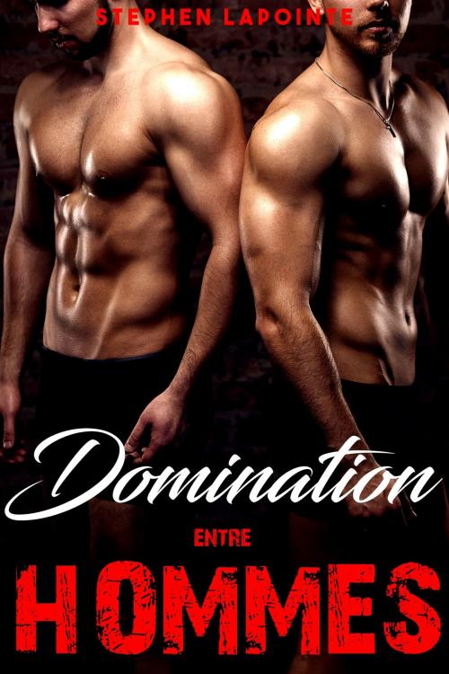 Cover of the book Domination entre HOMMES by Stephen Lapointe, Stephen Lapointe