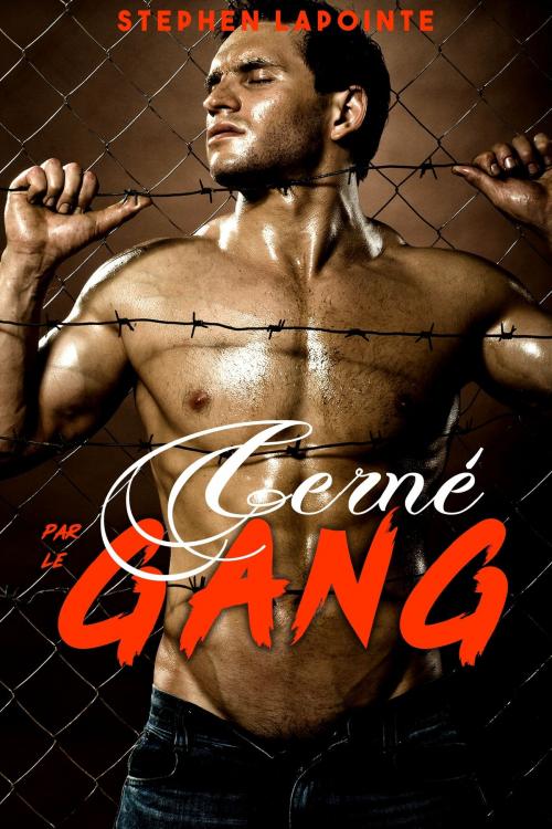 Cover of the book Cerné par le GANG by Stephen Lapointe, Stephen Lapointe