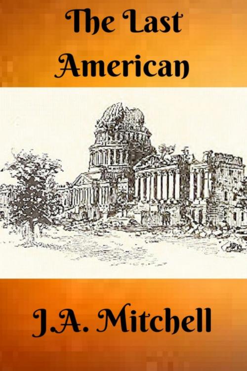 Cover of the book The Last American by J.A. Mitchell, J.W. Publications