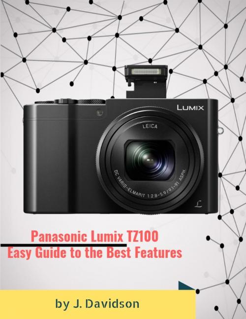 Cover of the book Panasonic Lumix TZ100: Easy Guide to the Best Features by J. Davidson, Bull Run