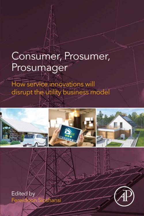 Cover of the book Consumer, Prosumer, Prosumager by , Elsevier Science