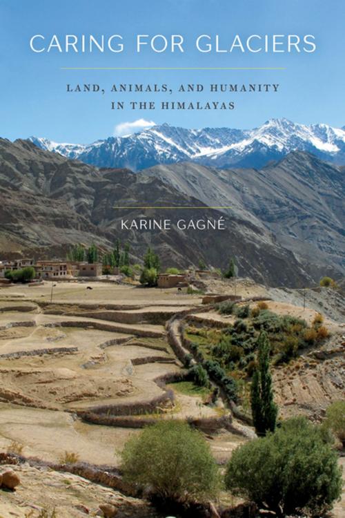 Cover of the book Caring for Glaciers by Karine Gagné, K. Sivaramakrishnan, University of Washington Press