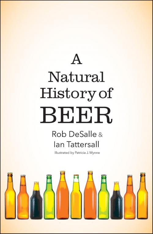 Cover of the book A Natural History of Beer by Rob DeSalle, Ian Tattersall, Yale University Press