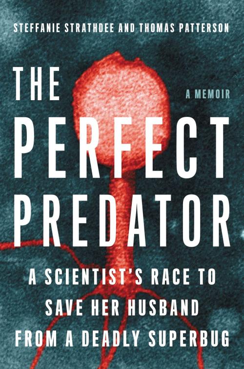 Cover of the book The Perfect Predator by Steffanie Strathdee, Thomas Patterson, Hachette Books