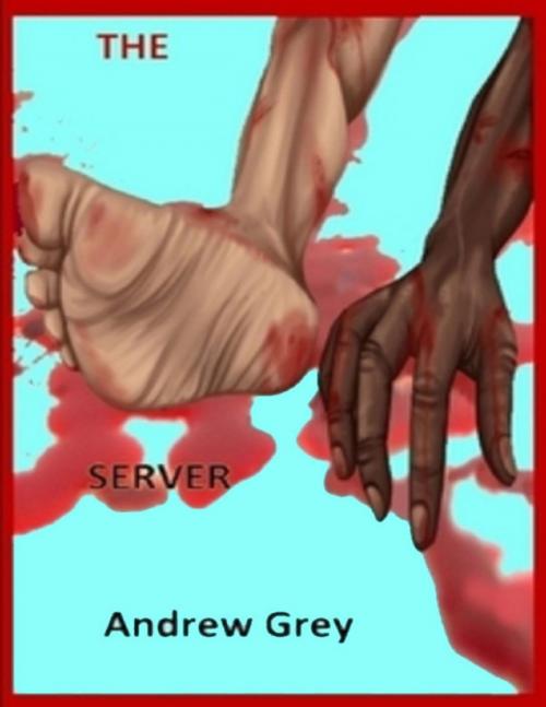 Cover of the book The Server by Andrew Grey, Lulu.com