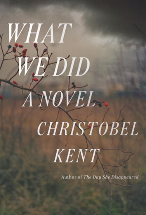 Cover of the book What We Did by Christobel Kent, Farrar, Straus and Giroux