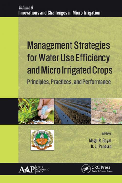 Cover of the book Management Strategies for Water Use Efficiency and Micro Irrigated Crops by , Apple Academic Press