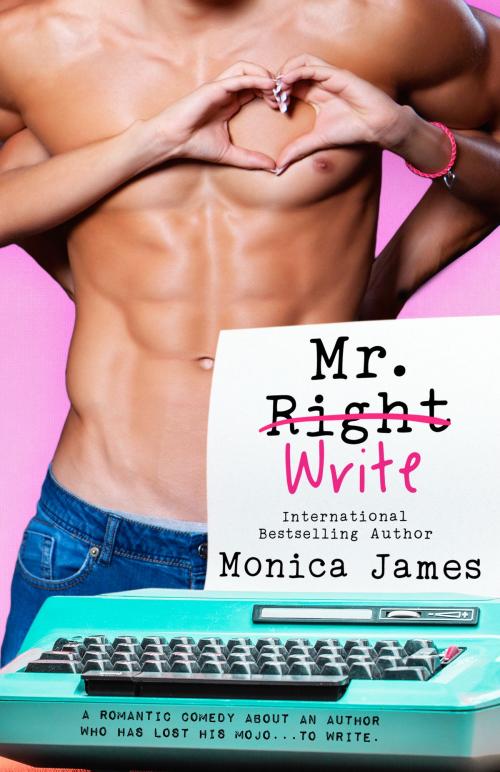 Cover of the book Mr. Write by Monica James, Monica James