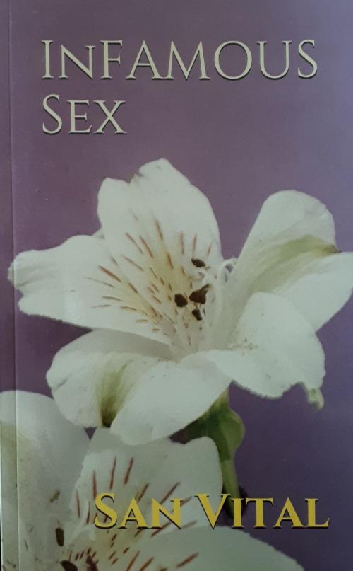 Cover of the book InFAMOUS Sex by San Vital, San Vital