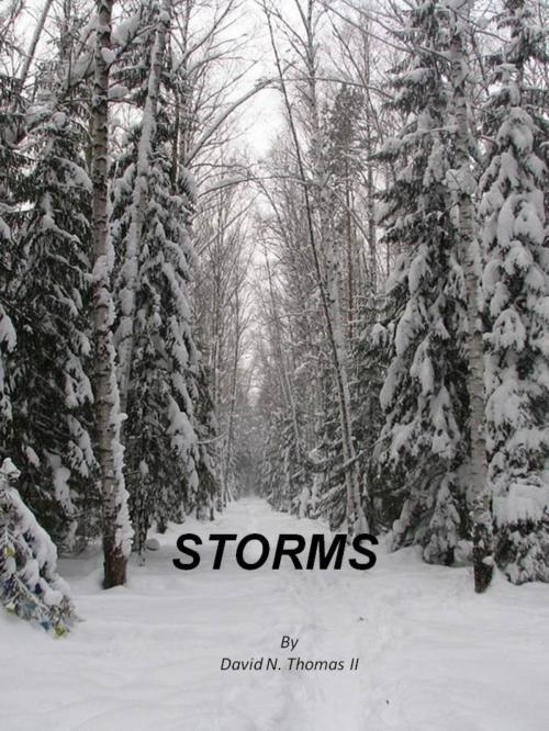 Cover of the book Storms by David N. Thomas II, David N. Thomas II