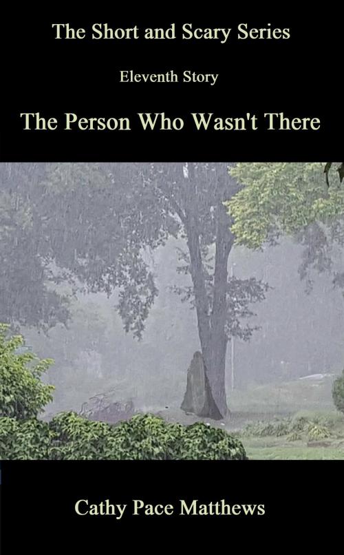 Cover of the book 'The Short and Scary Series' The Person Who Wasn't There by Cathy Pace Matthews, Cathy Pace Matthews